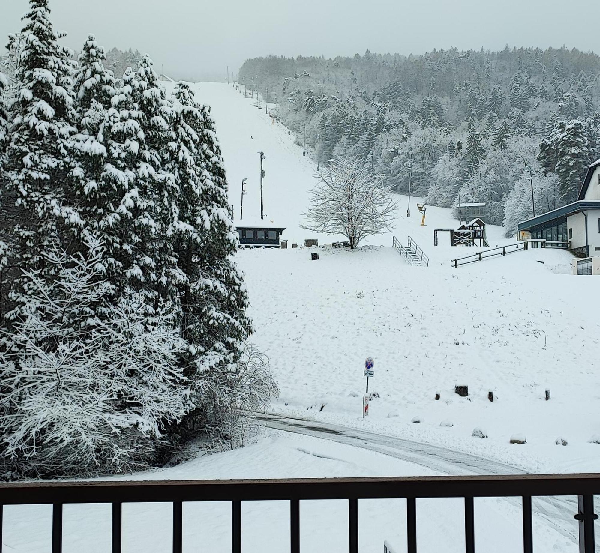 Villa Mari I Maribor Eksteriør billede