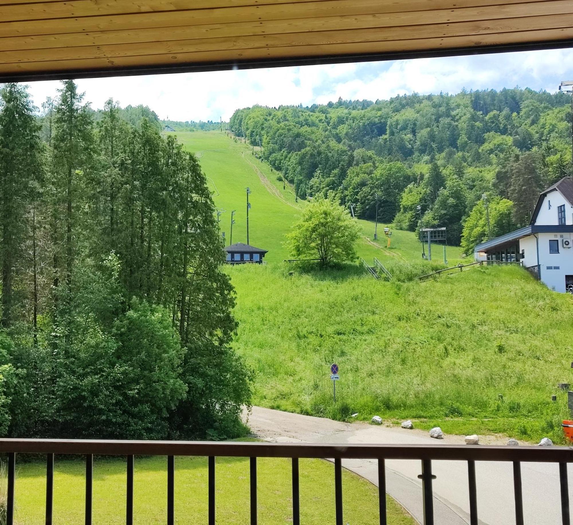 Villa Mari I Maribor Eksteriør billede